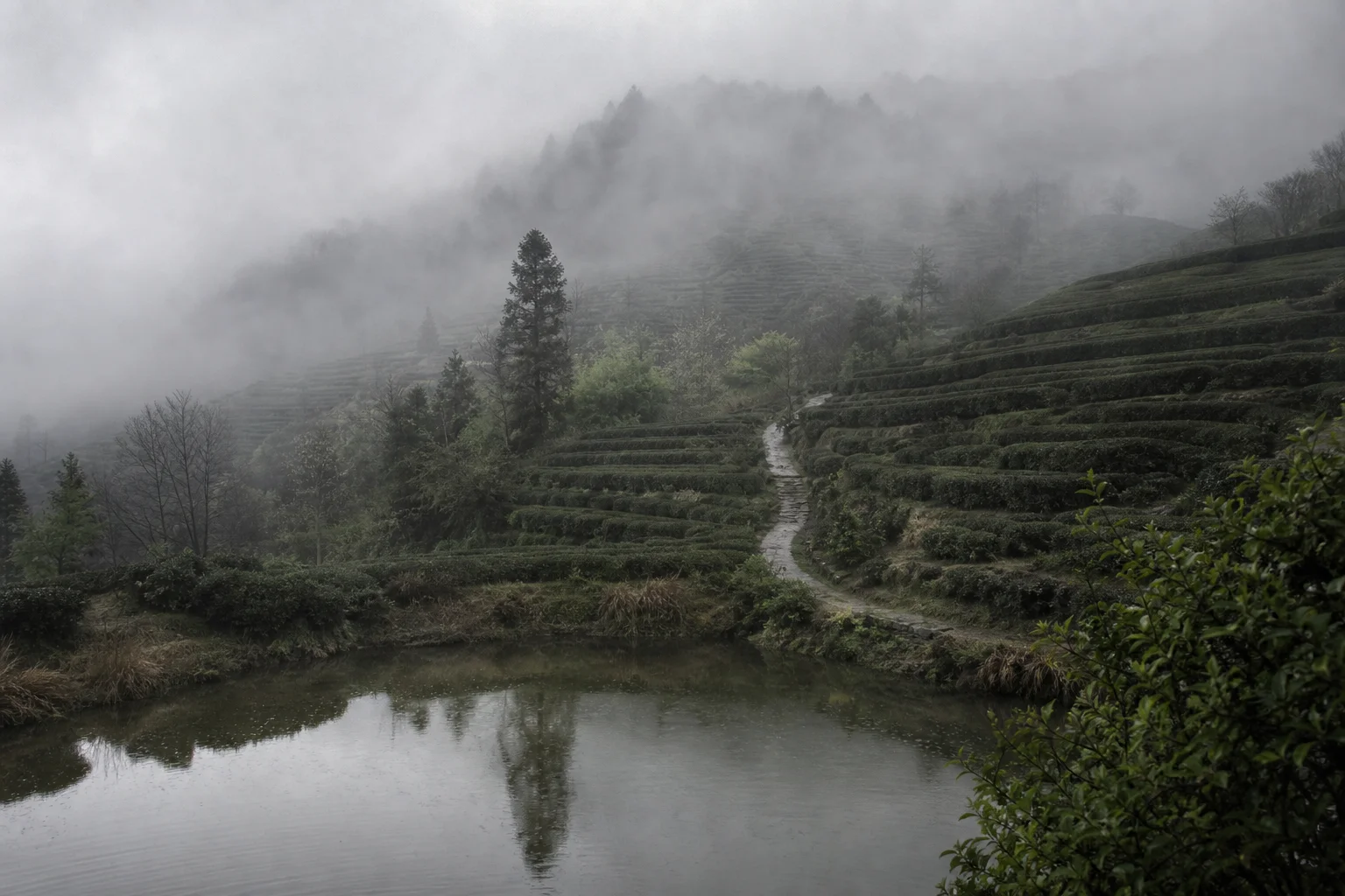 您没说的,我都懂